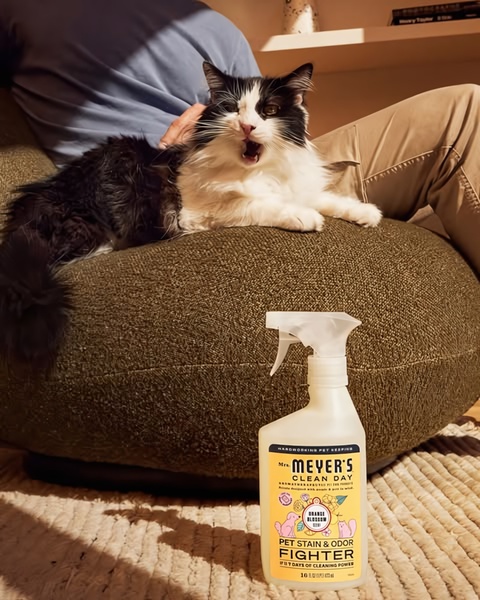 A high-performing pet stain remover ad showing the product in a cozy, authentic living room setting with a cat to demonstrate trust and brand alignment.