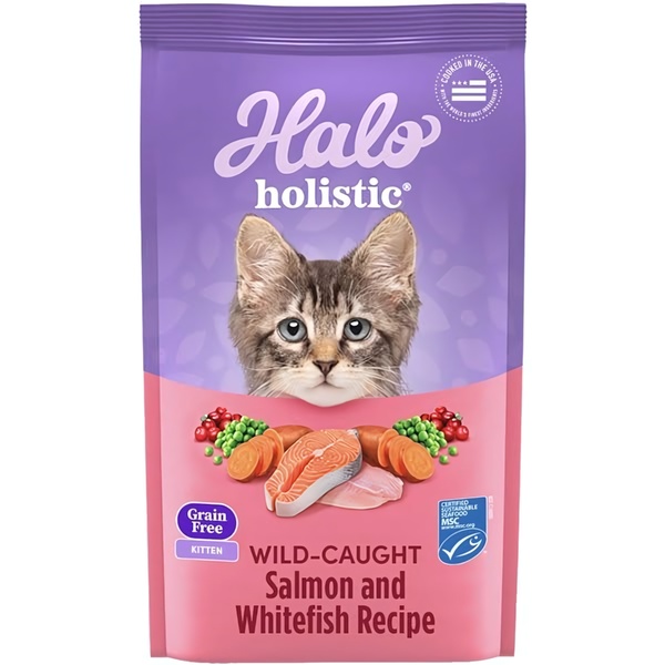 A 1:1 ratio product hero advertisement showcasing the kitten subject alongside raw salmon and vegetable ingredients to highlight food quality.