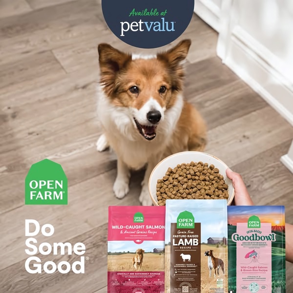 This 1:1 creative displays a dog happily looking at a bowl of food alongside three premium bags of dog food, emphasizing brand values.