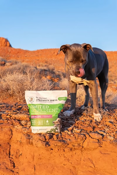 A high-quality product hero shot of a Dog Food bag placed in a rugged outdoor desert environment next to a dog.