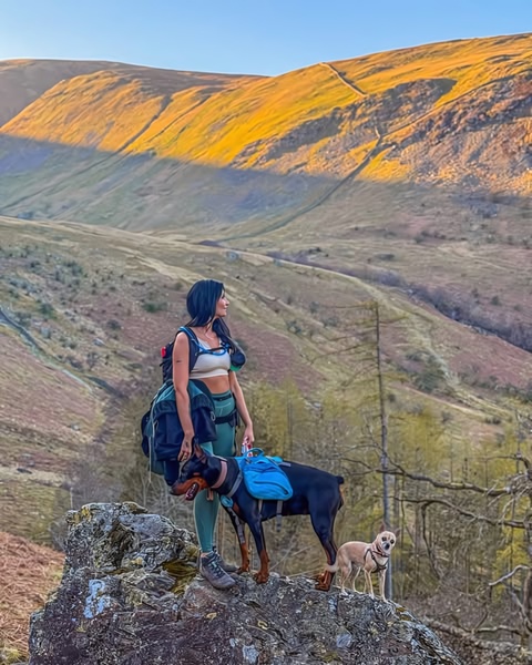 A high-quality lifestyle shot featuring a hiker and their dog wearing a branded hiking dog backpack on a scenic mountain trail.