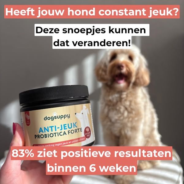 A square-ratio ad creative featuring a dog supplement jar held in hand next to a dog, using a statistics-driven hook to address itchy skin.