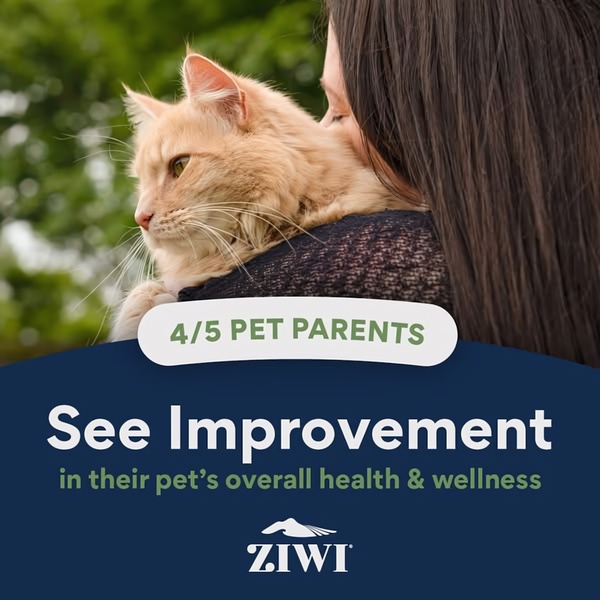This 1:1 square creative features a comforting image of a pet owner holding their cat, overlaid with a strong social proof statistic regarding health outcomes.