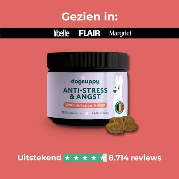 A square ad creative for dog anti-stress chews featuring press logos, product imagery, and prominent review star ratings.