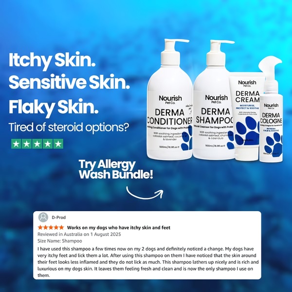 A square-format static ad for a dog shampoo bundle, featuring a problem-oriented headline, product imagery, and a verified customer review.