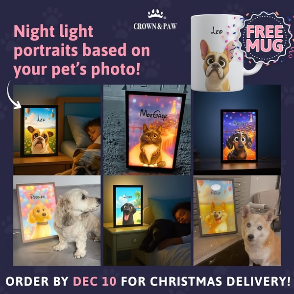 A split-screen creative showcasing personalized night light portraits of pets next to sleeping children and pets, emphasizing a holiday-themed gift offer.