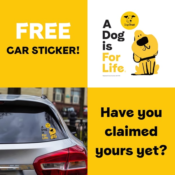 A high-contrast, dual-panel static image offering a free car sticker to engage the audience.