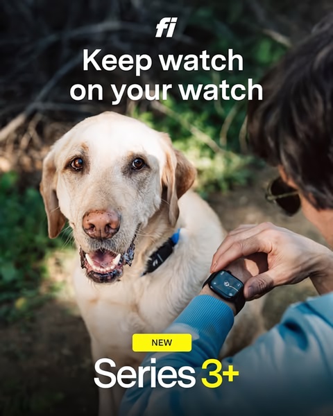 smartwatch, fitness tracker, wearable device, smart watch, activity tracker, new arrival, product launch, lifestyle, warm, trustworthy, neutral, blue, yellow