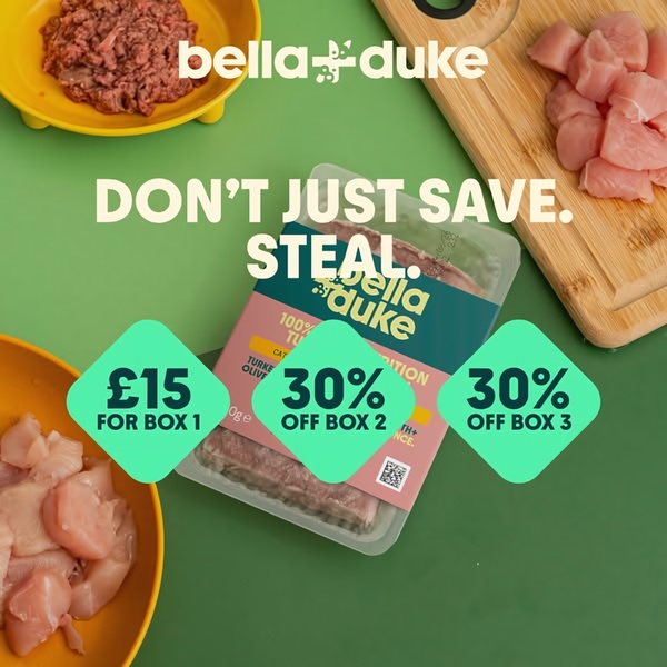 A 1:1 format creative for pet food featuring raw meat ingredients and a bold, benefit-driven promotional offer to capture attention.