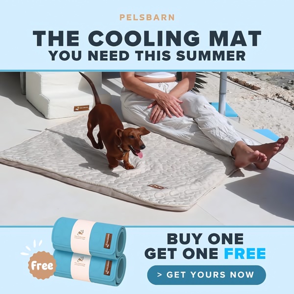 A 1:1 square ad showcasing a pet cooling mat in a sunny beach setting, emphasizing a Buy One Get One Free offer.