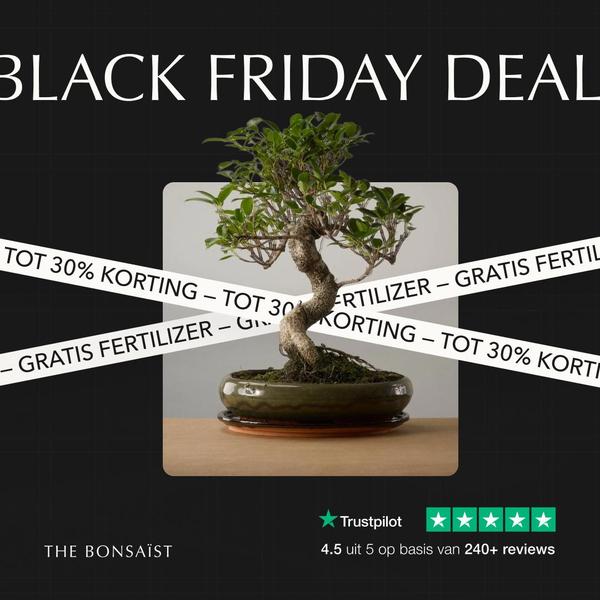 A minimalist, high-contrast promotional ad featuring a central bonsai tree subject with clear Black Friday discount messaging.