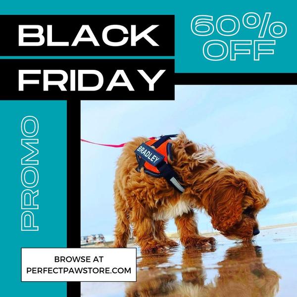This promotional graphic uses a high-contrast teal and black layout to highlight a significant Black Friday discount on a personalized pet harness.