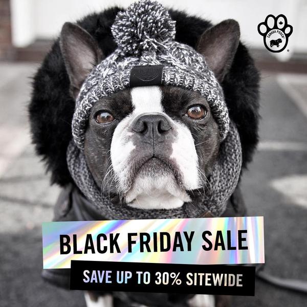 This creative features a close-up portrait of a dog wearing a winter hoodie to highlight a seasonal site-wide discount.