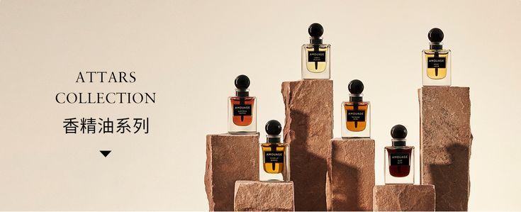 perfume, cologne, fragrance, scent, perfume bottle, new arrival, bestseller push, minimalist, editorial, luxurious, calm, neutral, brown