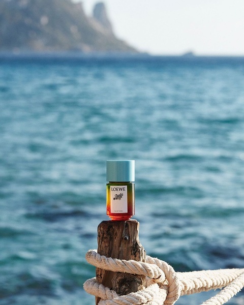 perfume, eau de toilette, fragrance, cologne, scent, brand awareness, lifestyle, editorial, calm, fresh, blue, neutral