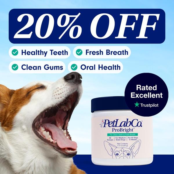 A square-ratio ad creative for a dog oral care supplement, highlighting a 20% discount, key benefits, and social proof in a clean, professional design.