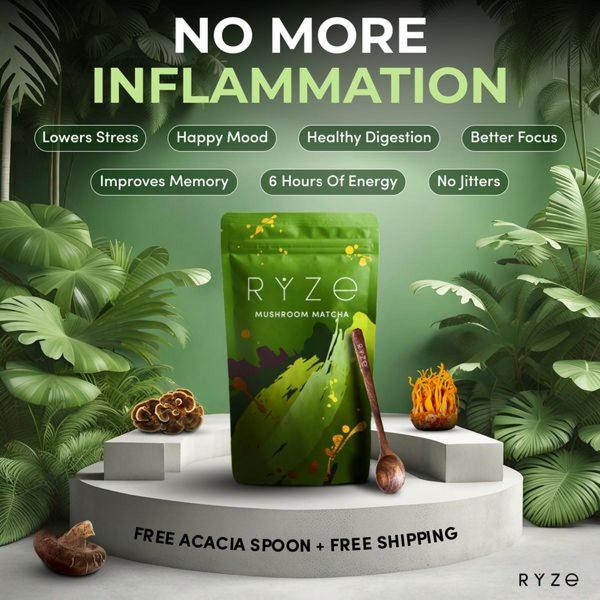 Mushroom Matcha Benefit Breakdown
