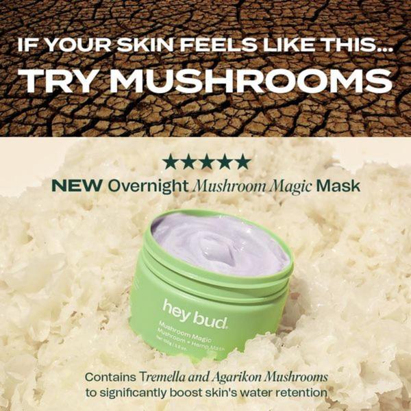 face mask, skincare mask, overnight mask, facial treatment, mushroom mask, hydrating mask, beauty mask, new arrival, product launch, minimalist, fresh, trustworthy, green, neutral