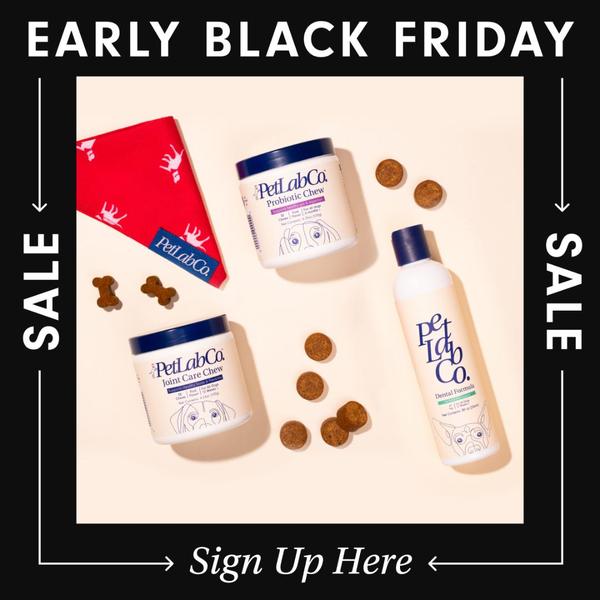A flat-lay product photography ad for pet chews and dental formula, emphasizing a seasonal holiday sale.