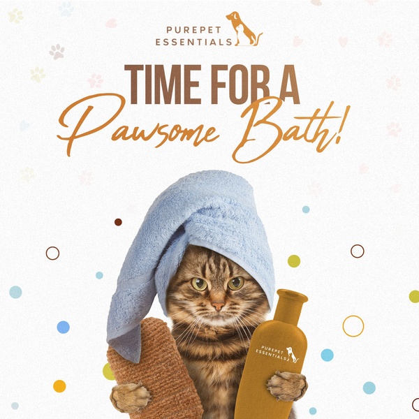 A 1:1 ratio social media ad featuring a cat wearing a towel with a loofah and bottle, leveraging a playful and relatable bath-time aesthetic.