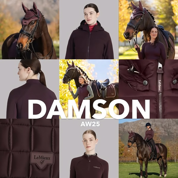 horse riding gear, equestrian clothing, saddle pad, riding jacket, horse blanket, new arrival, brand awareness, lifestyle, editorial, luxurious, calm, purple, neutral