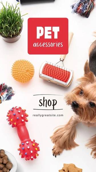 A top-down product shot of various pet toys and grooming tools arranged around a dog, promoting a shop link.