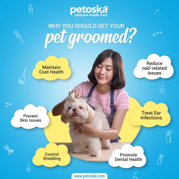 An educational ad creative for a pet grooming product using a clean, cloud-based layout to highlight six key health benefits for pets.