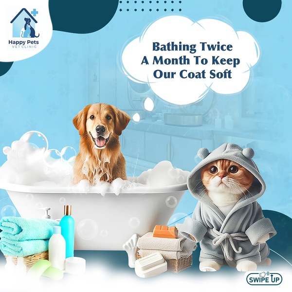A split-view composition showing a golden retriever and a kitten in a bath setting to emphasize pet grooming routine benefits.