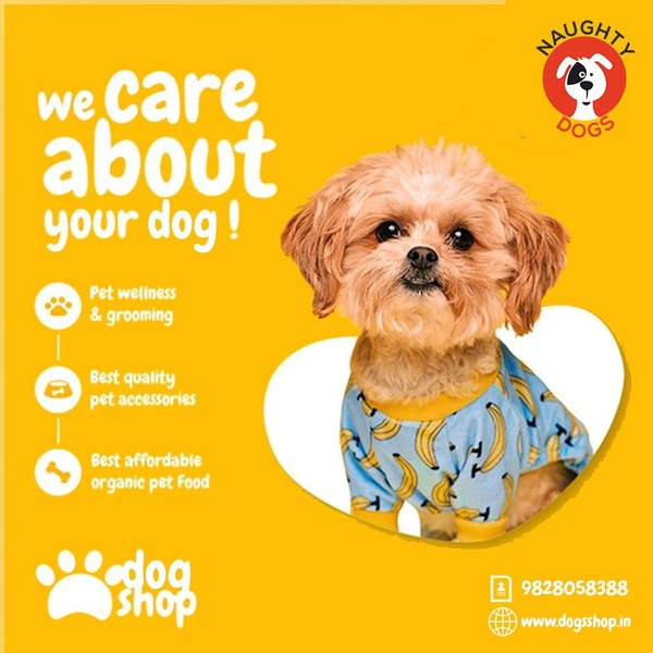 dog clothing, pet apparel, dog sweater, puppy shirt, dog accessories, brand awareness, lifestyle, playful, trustworthy, yellow