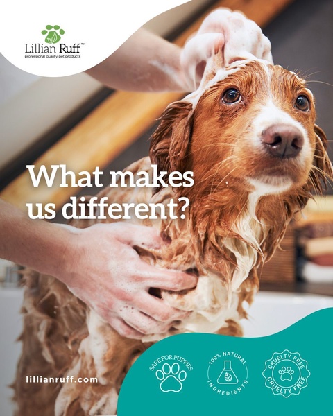 A high-performing educational ad featuring a pet being washed, highlighting natural ingredients and safety, designed for pet owners.