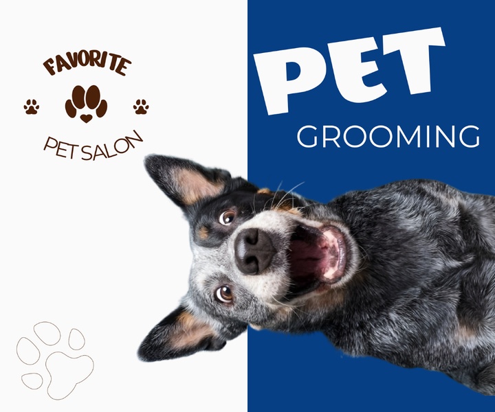 A high-energy, split-screen creative featuring an expressive dog against a clean white and deep blue background to capture attention.