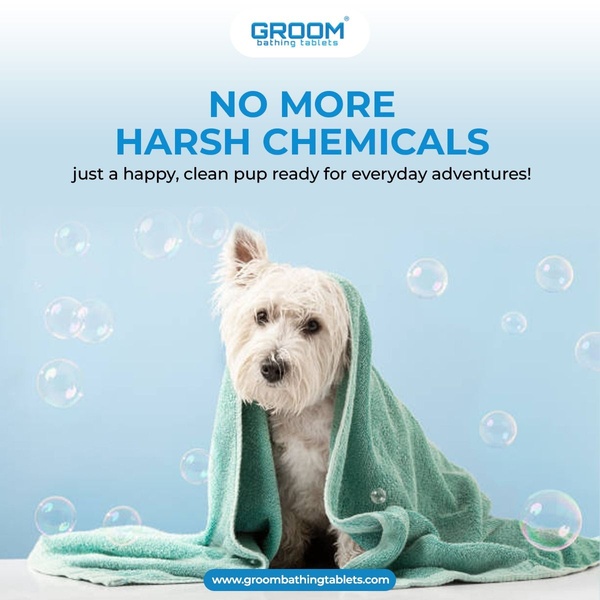 A high-conversion ad for bathing tablets that utilizes a minimalist blue background, bubbles, and a clean, happy dog to visually represent the product's value proposition.