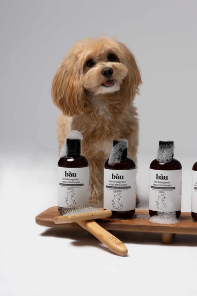 A clean, studio-lit hero shot featuring a groomed dog next to bottles of dog cleaning gel and a grooming brush on a wooden stand.