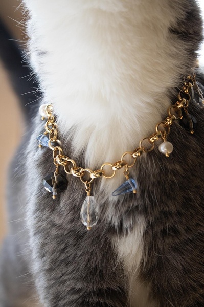 A close-up aesthetic shot of a cat wearing a decorative gold-chain necklace with hanging crystal and pearl charms.
