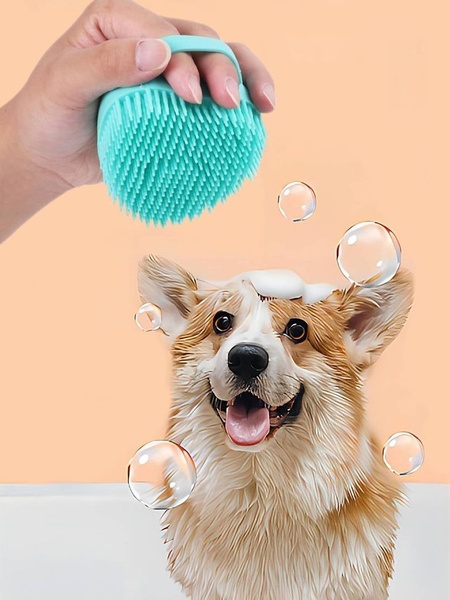 A close-up studio shot featuring a vibrant teal silicone bath brush held over a happy, soapy corgi to emphasize ease of use and pet comfort.