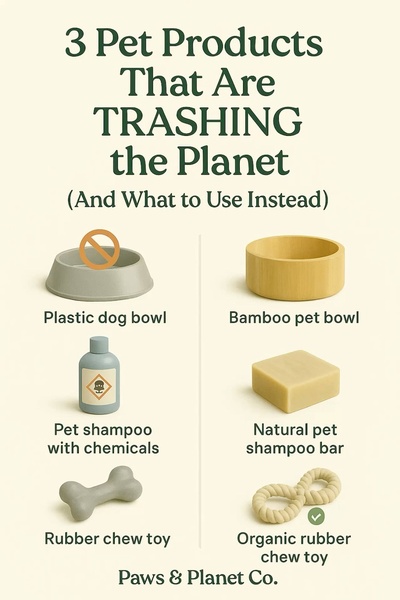 A clean, educational infographic comparing common pet items to their eco-friendly, sustainable counterparts.