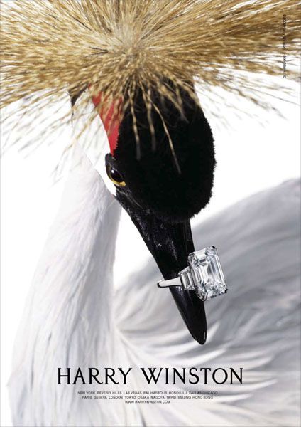 A high-end advertisement featuring a crane holding a luxury diamond ring in its beak against a clean, white background.