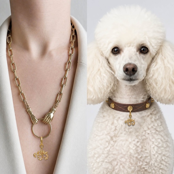 A split-screen creative showing a human wearing a gold link necklace on the left and a poodle wearing a matching jewelry-adorned collar on the right.