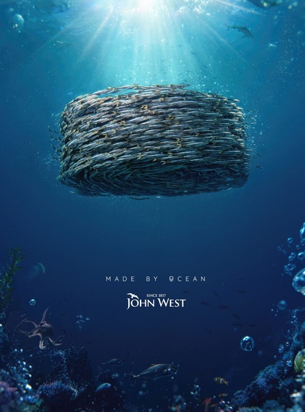 A high-concept underwater creative featuring a school of fish shaped into a fingerprint, symbolizing the natural origin and premium quality of canned fish.