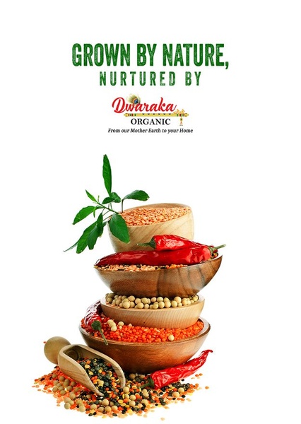 A clean, studio-lit vertical ad creative showcasing stacked bowls of raw organic lentils and fresh chili peppers.