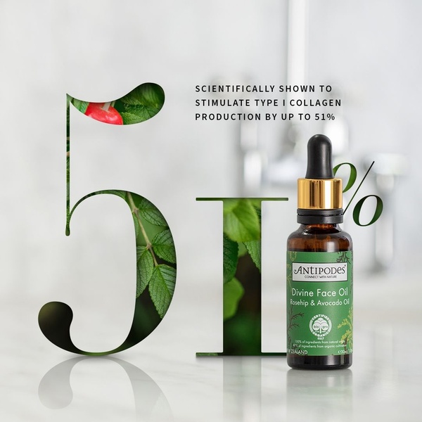 facial oil, face serum, rosehip oil, skincare oil, organic face oil, product demo, minimalist, editorial, trustworthy, fresh, neutral, green