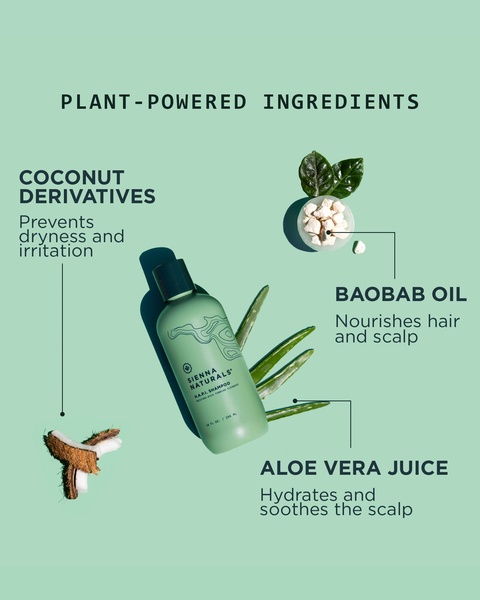 This creative showcases a shampoo bottle centered among its core ingredients—coconut, baobab, and aloe—using clear lines to link each component to a specific hair benefit.
