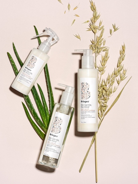 A high-angle flat lay composition featuring three bottles of hair care products arranged with natural stalks and aloe vera on a soft, neutral-toned background.