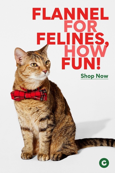 A high-contrast, clean studio shot of a cat wearing a red plaid flannel bow tie, using bold holiday-themed typography to drive immediate seasonal sales.