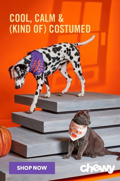 pet costumes, dog costumes, cat costumes, pet halloween outfits, animal costumes, pet clothing, pet accessories, brand awareness, minimalist, playful, orange, purple, halloween