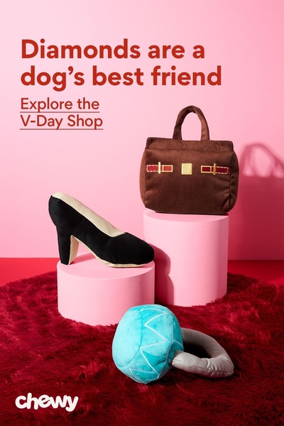 A studio-shot, high-contrast creative featuring luxury-inspired plush dog toys on pedestals against a vibrant pink backdrop.