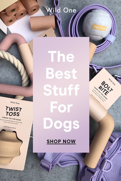 Dog Toy and Accessory Flat-Lay
