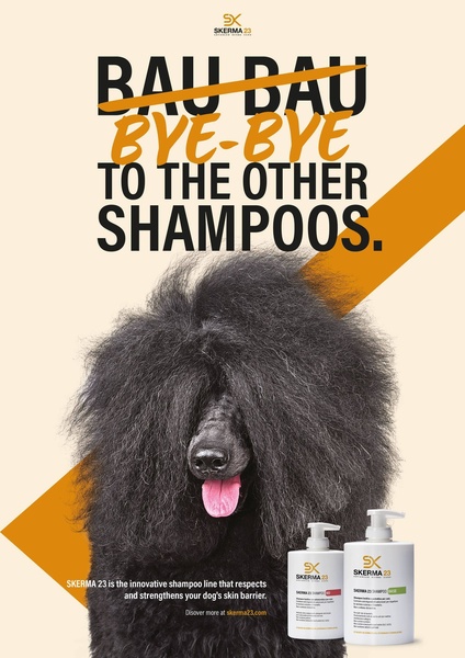 A clever ad featuring a shaggy, unkempt dog with a crossed-out text headline to highlight a clear brand transition for premium pet care.