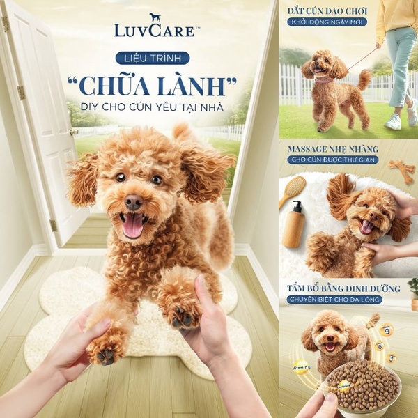 This ad creative features a sequence of daily care routines including walking, massage, and nutrition to position the brand as a holistic partner in pet health.