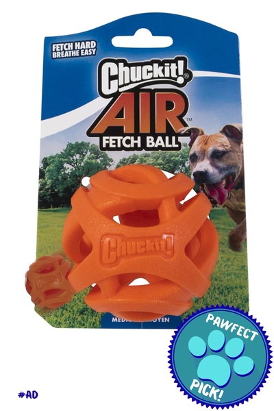 A clean, product-centric ad featuring a high-visibility orange fetch ball set against an outdoor park background to highlight utility.